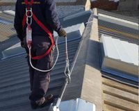 Linea vida6-9a76ef8745